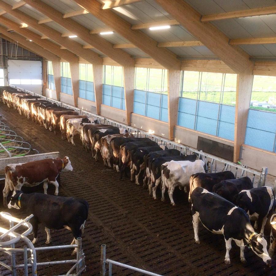 Ruyge Weyde Logies, Eco Farm Appartement *