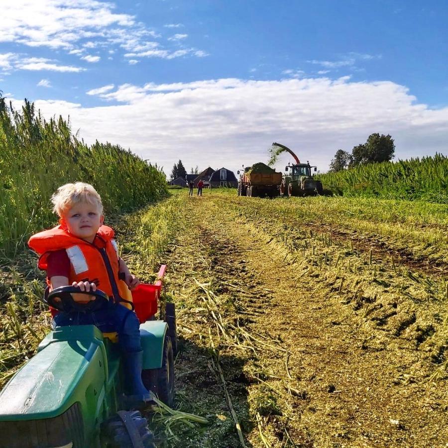 Ruyge Weyde Logies, Eco Farm Appartement Oudewater