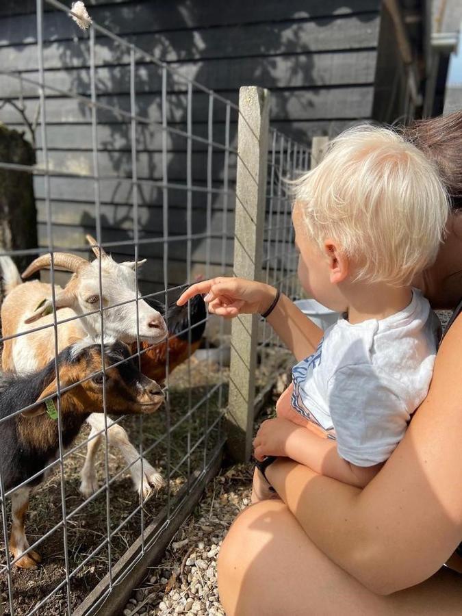 Ruyge Weyde Logies, Eco Farm