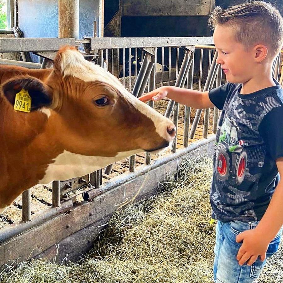 Ruyge Weyde Logies, Eco Farm Oudewater
