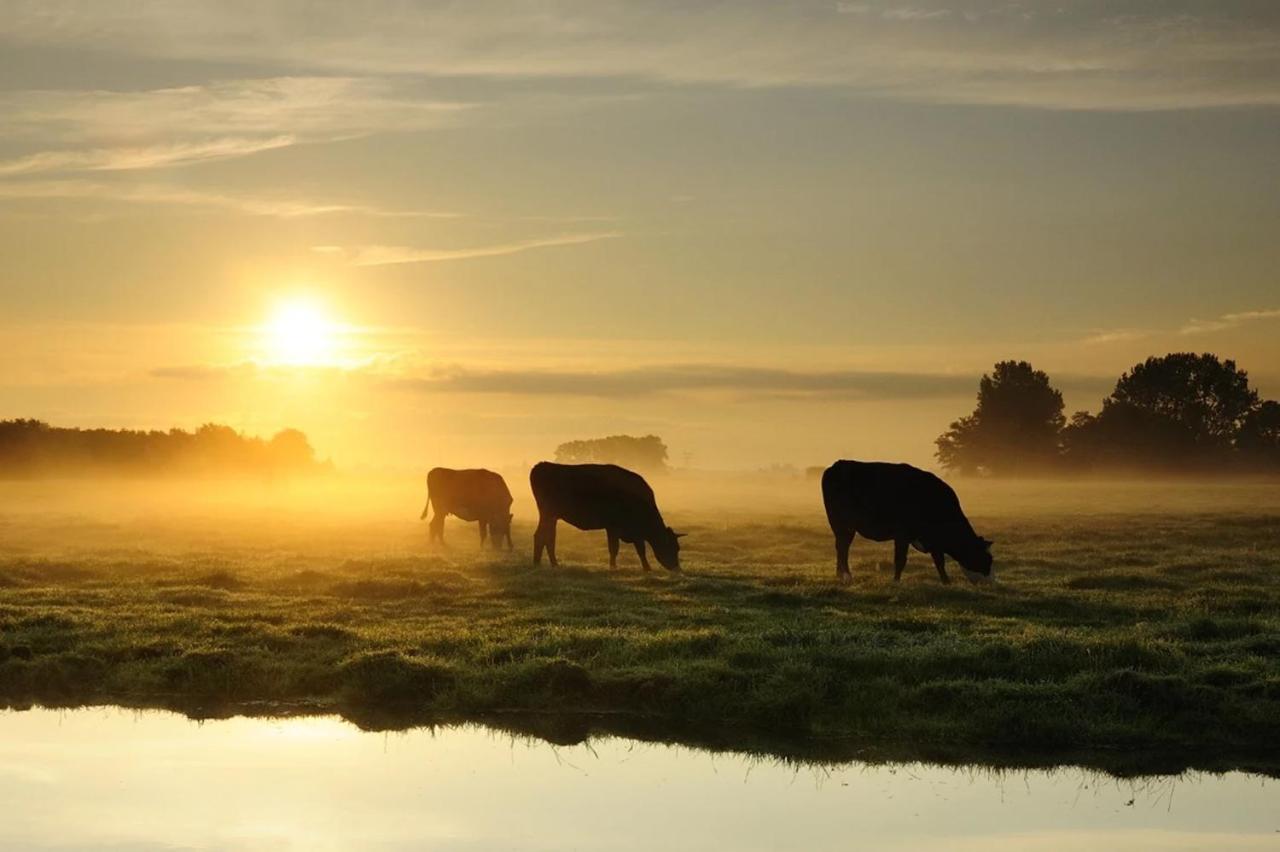 Ruyge Weyde Logies, Eco Farm Apartment Oudewater